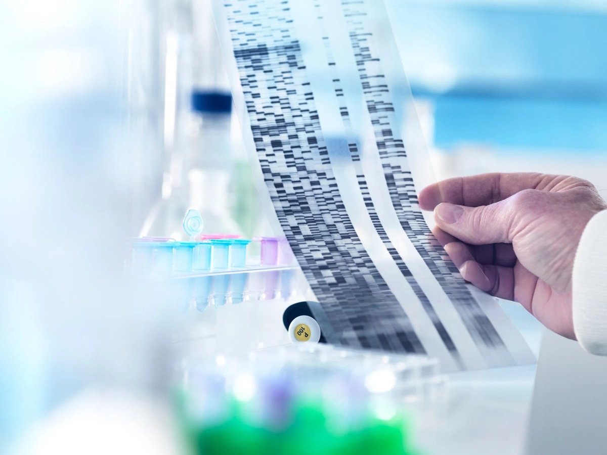 A scientist examines a DNA sequencing gel in a laboratory