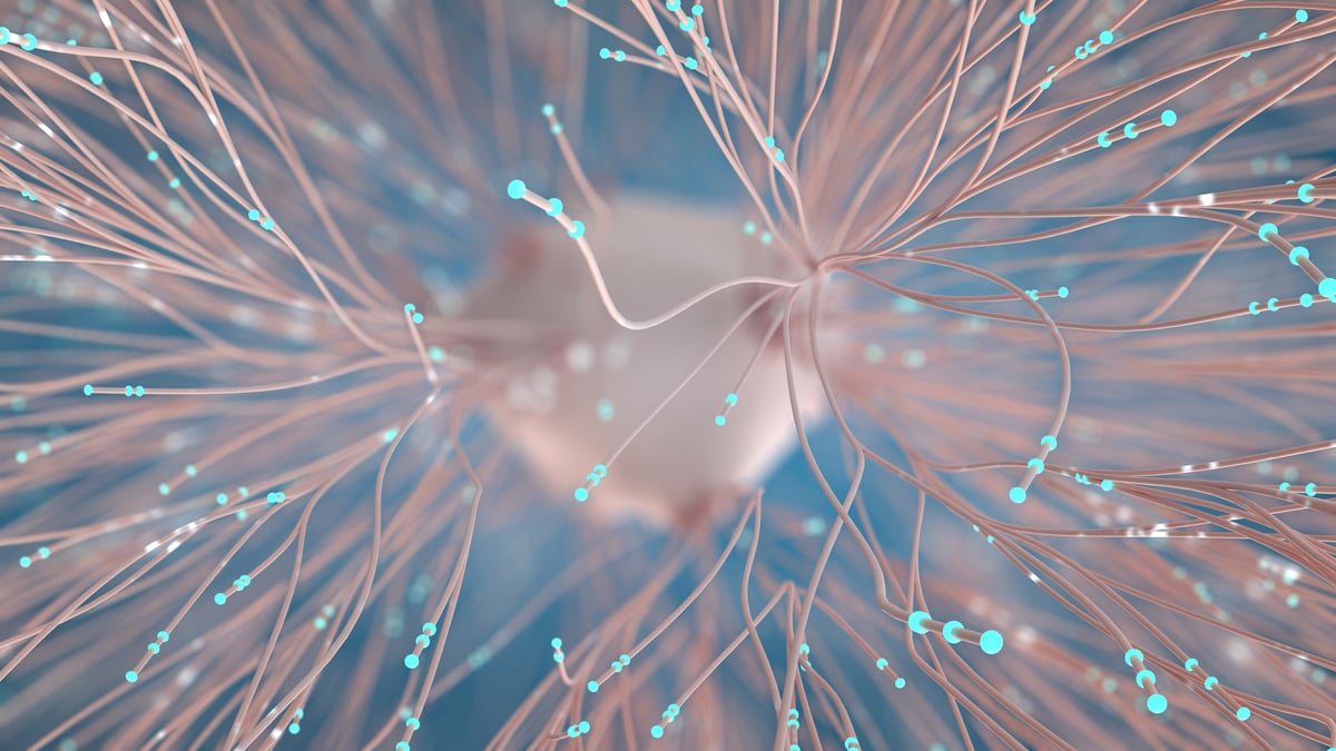 Brain neuron network with neural signals along interconnected neural pathways